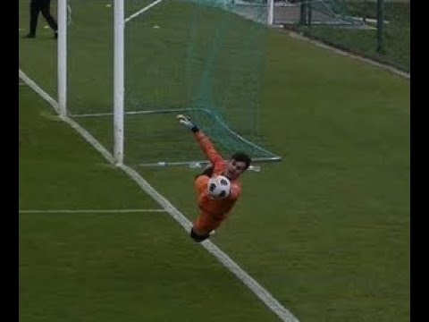 Highlights 2021_22 #danigomes