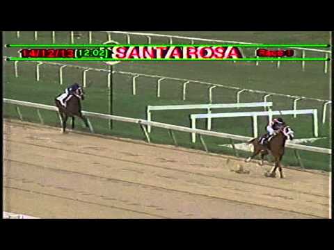 Arima Race Club- Day 42 - Saturday, December 14, 2013  - Race 1