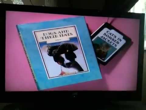 Cats in bomber jackets