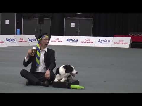FCI Dog Dancing World Chanpionship 2023 -Sunny