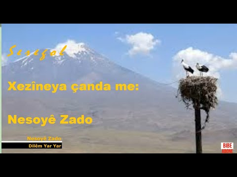 Nesoyê Zado | Dilêm Yar Yar