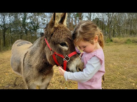 Un bébé vient de trouver son âme sœur... et c'est un animal.