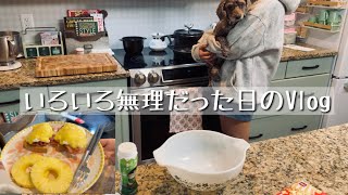 【カナダ暮らしと家庭料理🇨🇦】塊肉を買ったことを後悔しながら作るお弁当🐥ブランチはエッグズベネディクト🍳巻きすはないけど巻き寿司の練習をした🍣ヴィンテージのお皿やらお弁当箱やらいろいろ