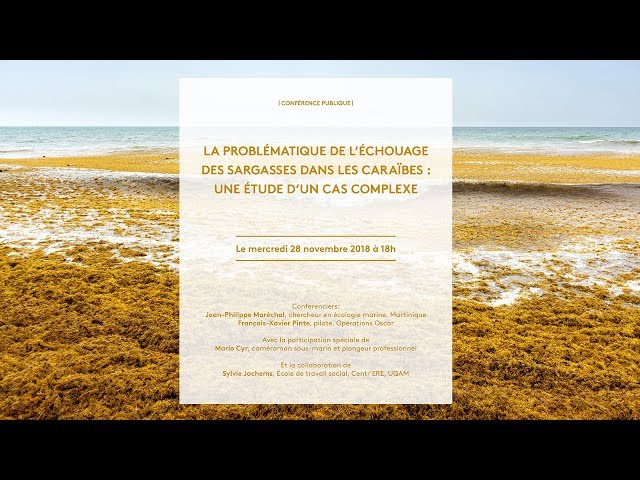 Conférence: «La problématique de l’échouage des sargasses dans les Caraïbes»