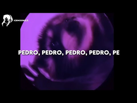 música VIRAL do meme do GUAXINIM que fala "Pedro Pedro Pedro Pedro Pe" (tradução) "tiktok song"
