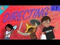 The Director Crash Course Film Production With Lily Gladstone 7