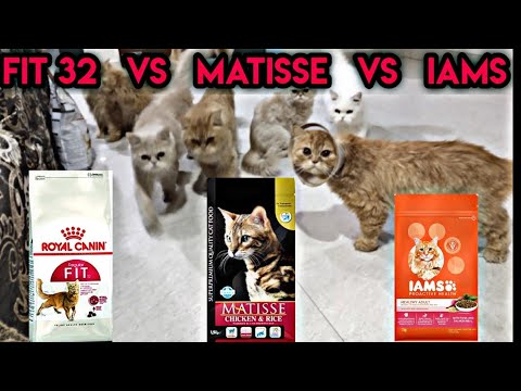 Matisse va royal canine fit 32 vs Iams || mid range premium food review !!!