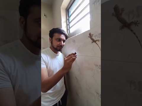 وضع كاميرا على الزواحف فحدثت المفاجأة #shorts  #shortvideo