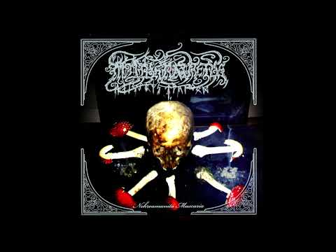 Myrkraverk ‎– Nekroamanita Muscaria (2011)