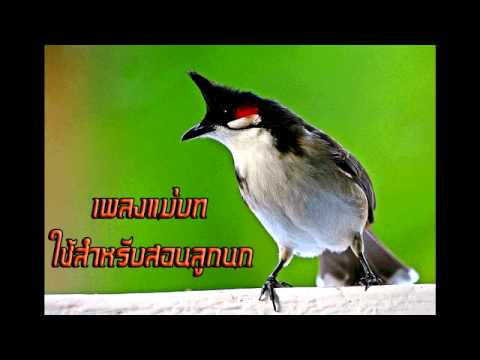 ซื้อเชื้อโรคหญิงในหยดในร้านขายยา หมายถึงความอ่อนแอ
