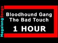 Bloodhound Gang - The Bad Touch [1 HOUR]