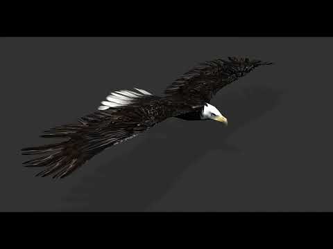 (Unreal Engine) Bald Eagle