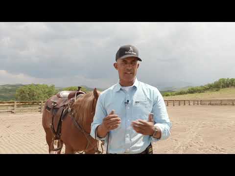 WHY THE FOOTING IS SO IMPORTANT FOR A REINING HORSE