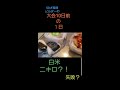 アラフィフ独身ビルダーの大会10日前の1日。白米2キロ?