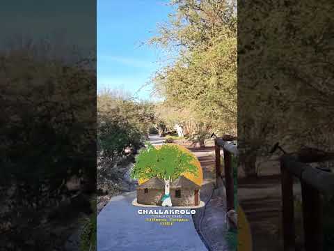 RUTA INTERIOR 2🌵 Challakrolo · Aldea Ecológica de Putukus · Huayca, Tarapacá