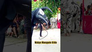 Download lagu Banteng macan Wahyu Manggolo Krido mp3