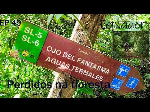 EP 49 Perdidos na floresta