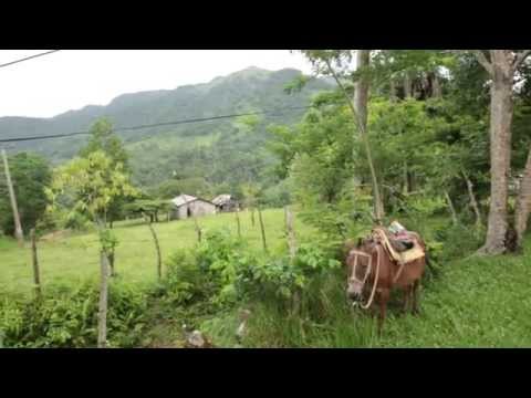 Bring Life Saving Healthcare to 1000+ Dominicans