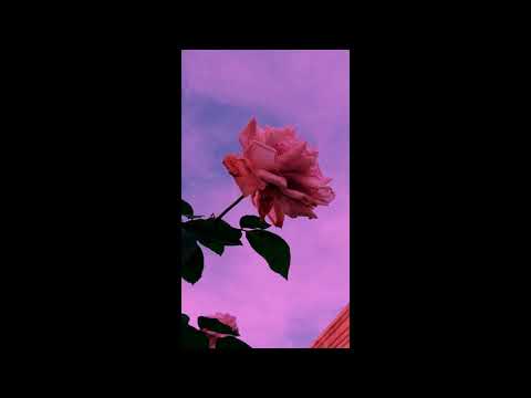 (FREE)Blackbear Type Beat Ft. Bazzi - "ROLE MODEL" | Pop  x Guitar Type Beat