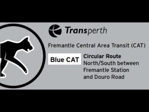 Transperth Blue CAT (Fremantle) (March 2019)