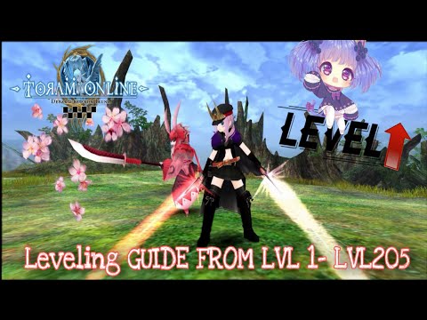 Toram Online- Leveling Guide from lvl1-205✓[Recommend To Newbie]