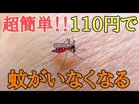 庭での蚊の繁殖を防ぎます。雨水収集装置が付属しています。  庭園
