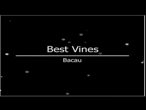 Cand te intreaba maicata de ce ai ramas corigent...