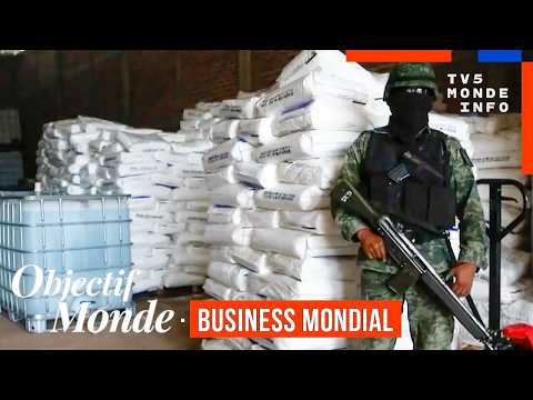 Cartels, ports et réseaux sociaux : la nouvelle carte mondiale de la drogue (Objectif Monde 2026)