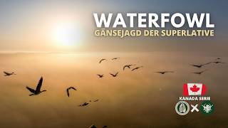 Das Kanada-Abenteuer 🇨🇦 3 Wochen Jagd in ALBERTA 🐻 FOLGE 1 WATERFOWL 🦆 Hunt on Demand Ausschnitt