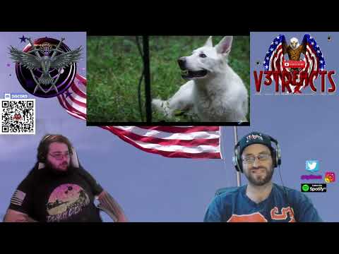 #veteran v3tReacts Reaction 2 Oliver Anthony  'Rich Men North Of Richmond' #truth #reaction