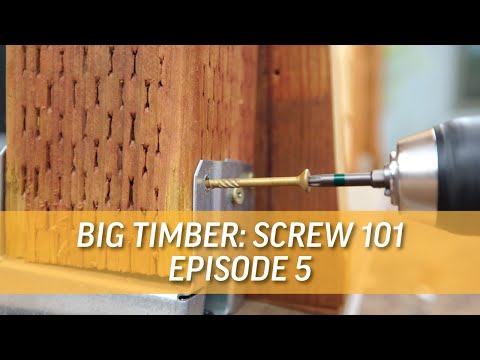 Screw Sizes Explained: Gauge & Length Made Easy | Screw 101 Ep. 5