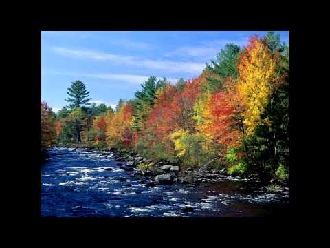 Ansambel Obzorje - Jesenska