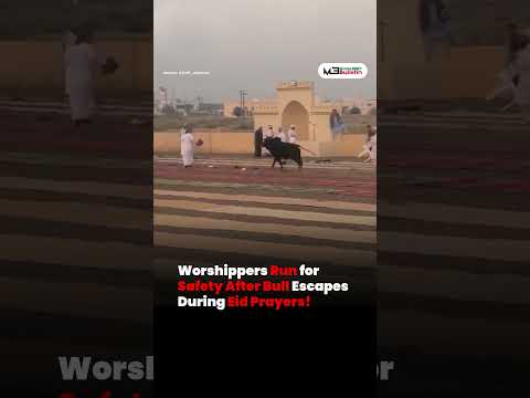 Worshippers Run for Safety After Bull Escapes During Eid Prayers!