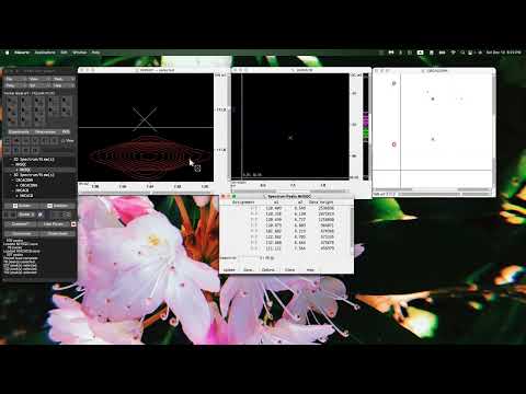Automated Assignment with PINE / PINE-SPARKY thumbnail