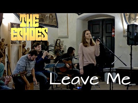 The Echoes - The Echoes - Leave Me (Neurotic Machinery cover)