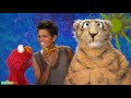 Sesame Street Halle Berry And Elmo Nibble Baby Songs At Home Funny Video For Babys Baby Songs Tv