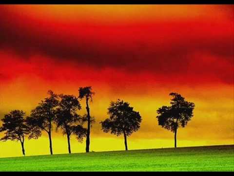 Cidade de Cor video