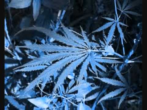 The Marijuana Song (sT-one H-enge C-rew)