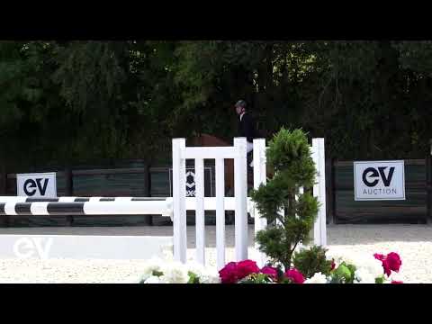 Lord Harrie du Mesnil SAUT