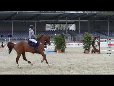 Brantzau with Thea Jelcic 2017