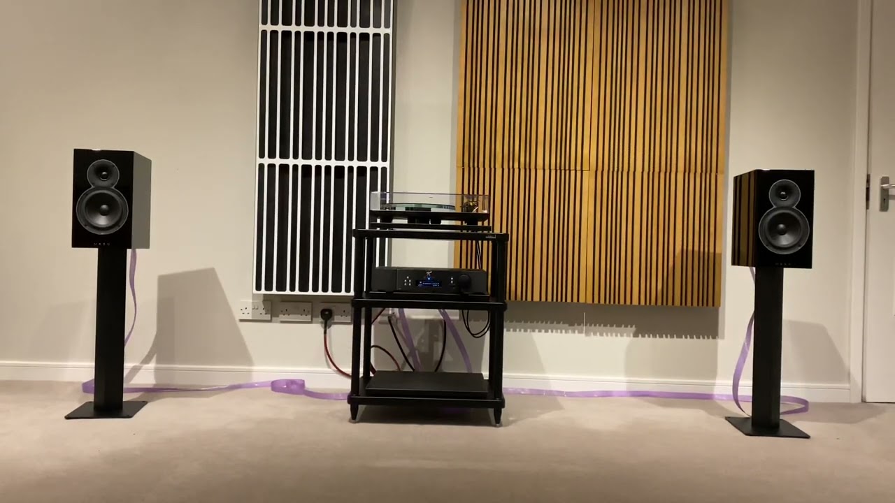 Moon Voice 22 and Moon Ace