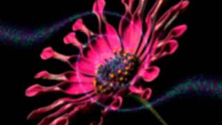 Peter White - Love Will Find You