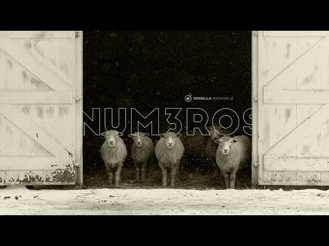 Números 13 y 14:19 | Daniel Soto | Semilla Veracruz