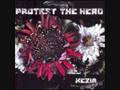 Divinity Within - Protest the Hero 