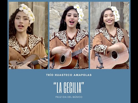 La Cecilia Trio Huasteco Las Amapolas