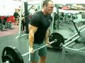 Heavy bicep curls 