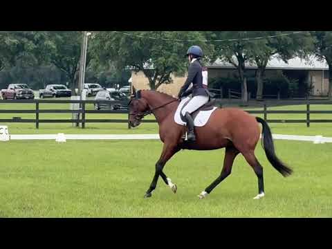 Tiz Area 3 Champs Novice 