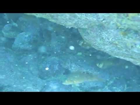 Jervis Bay - New South Wales - Australia