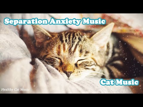Calming Music for Cats with Anxiety! Deep Soothing Music for Anxious, ill and Stressed Cats!