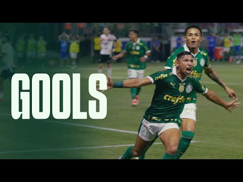 GOLS | PALMEIRAS 2 X 1 BOTAFOGO-SP | COPA DO BRASIL 2024